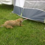 OTTFestJess02092016549.jpg